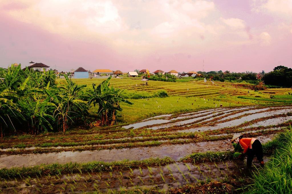 Grandpa Guest House Canggu Buitenkant foto