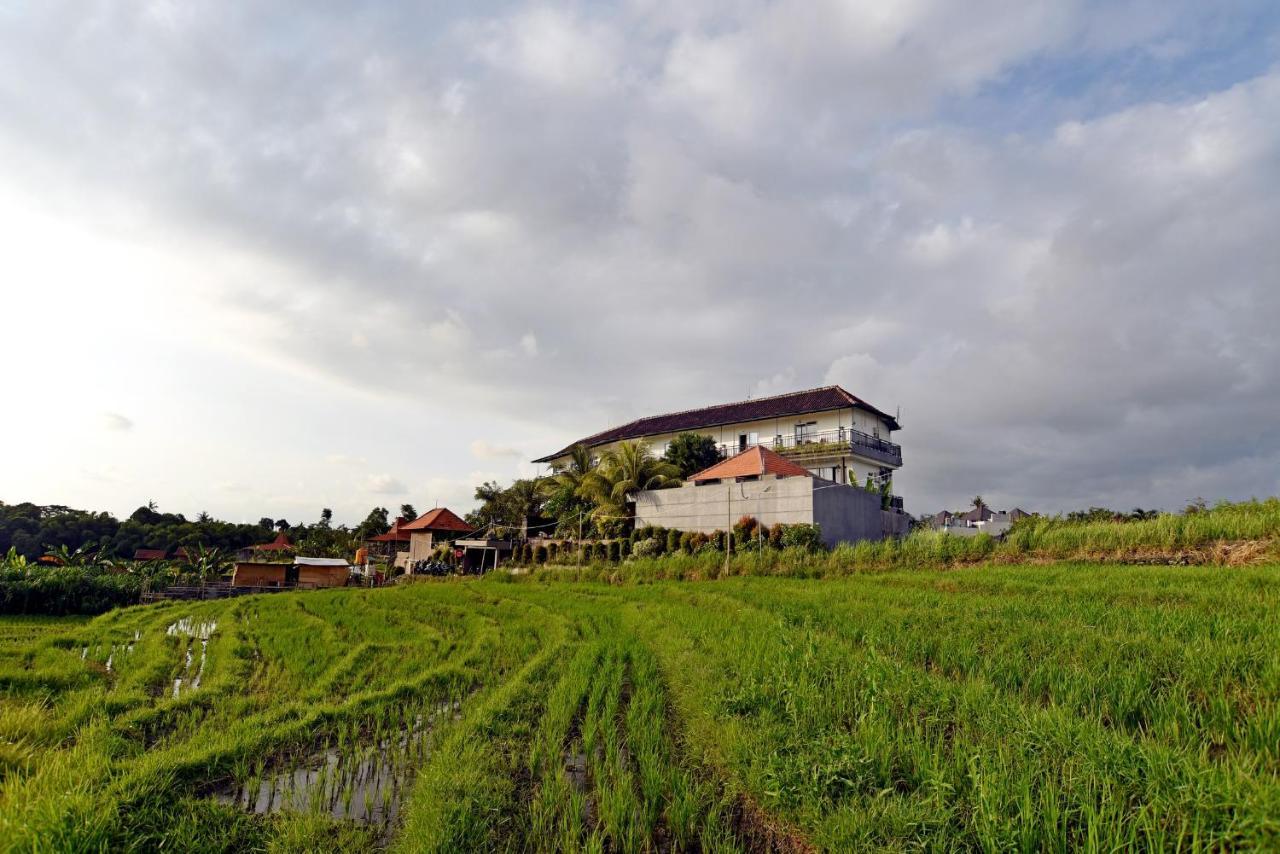Grandpa Guest House Canggu Buitenkant foto