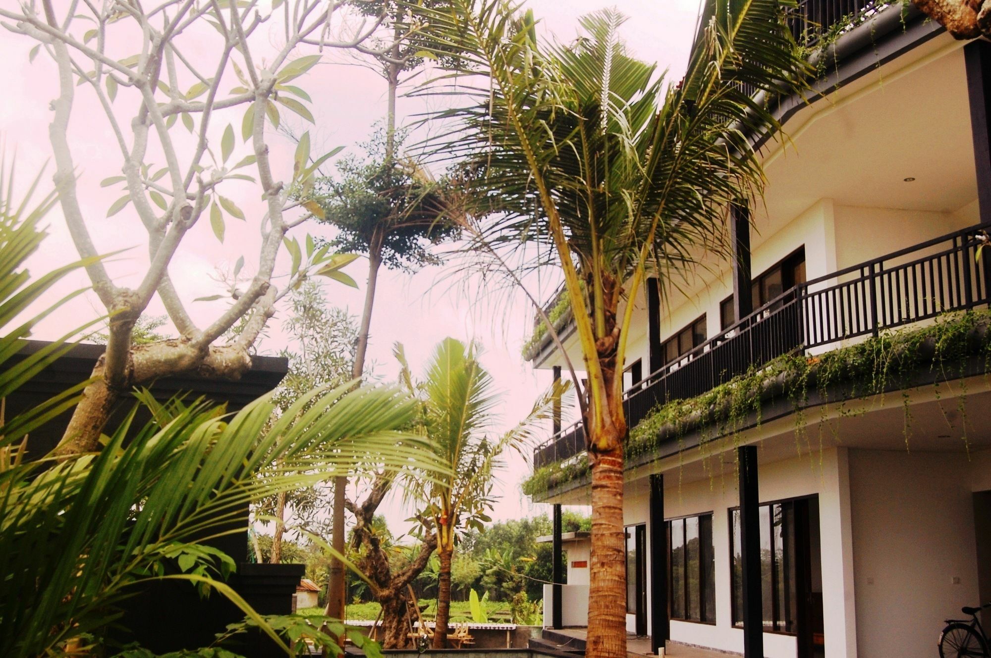 Grandpa Guest House Canggu Buitenkant foto